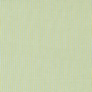 tela "birds shine" (copia)