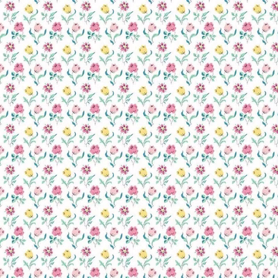 GC00256X